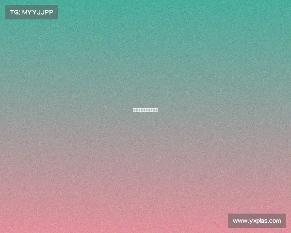 法国意大利决赛世界杯