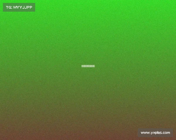 北美预选赛高清直播